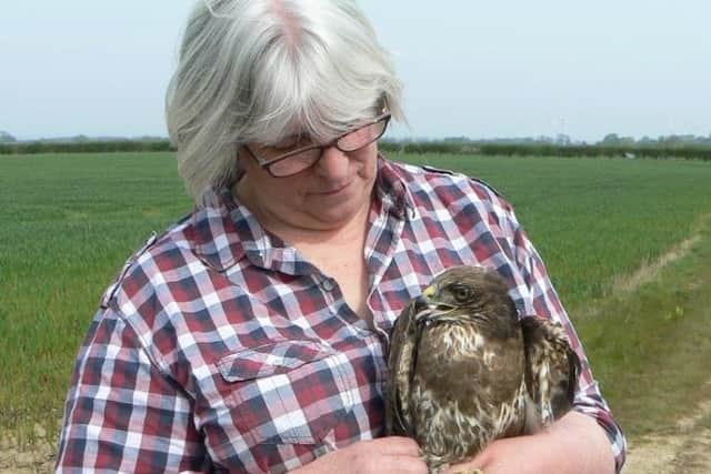 Birds of prey specialist Jean Thorpe with a rescued buzzard.