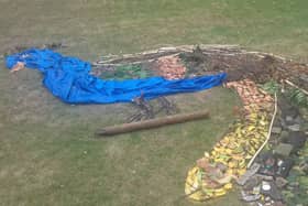 The peacock art created at Flamingo Land.