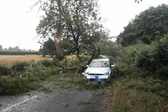 Lucky escape for the occupants of this car after lightening hit a tree in Foxholes, North Yorkshire.