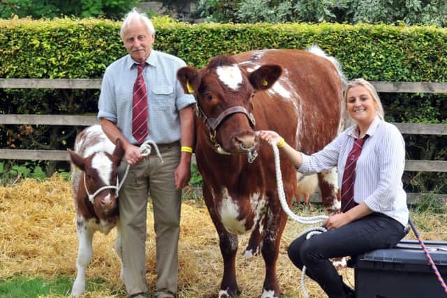 Rose Thompson with Oakleigh Honey, a shorthorn cow, at Thornton-le-Dale show. Her father Dick holds calf Grinkle Explorer Honey.