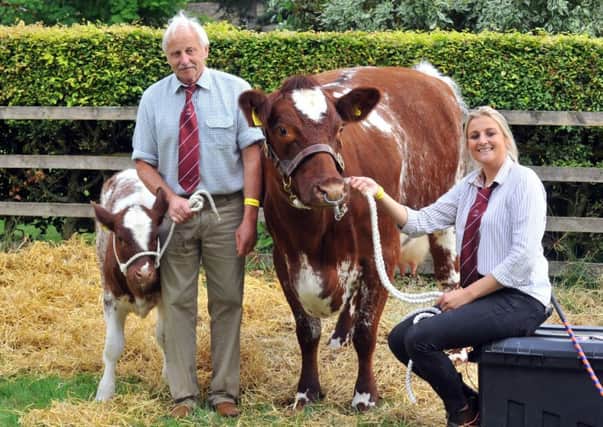 Rose Thompson with Oakleigh Honey, a shorthorn cow, at Thornton-le-Dale show. Her father Dick holds calf Grinkle Explorer Honey.