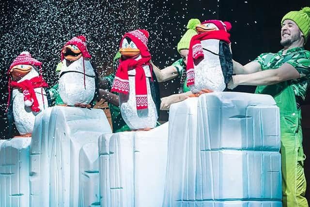 Pesky penguins steal the show