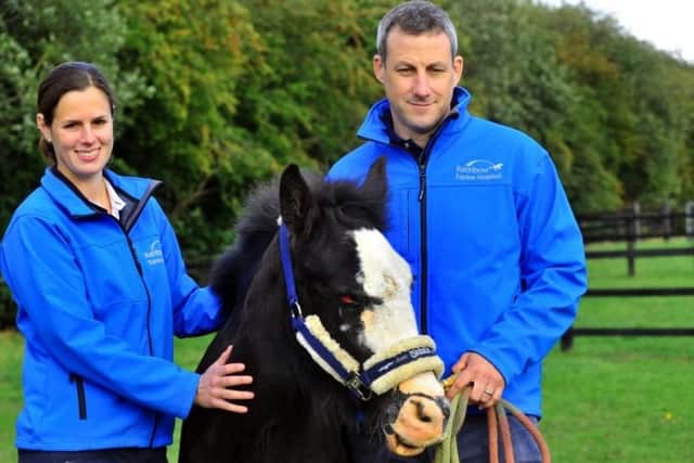 Cinders the pony at the Rainbow Equine Hospital near Malton with Sarah Gough, Resident in Equine Medicine, and David Rendle Specialist in Equine Medicine. Photo: Gary Longbottom