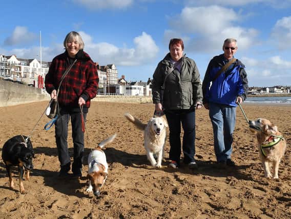 Dog walkers on Bridlington beach earlier this week.