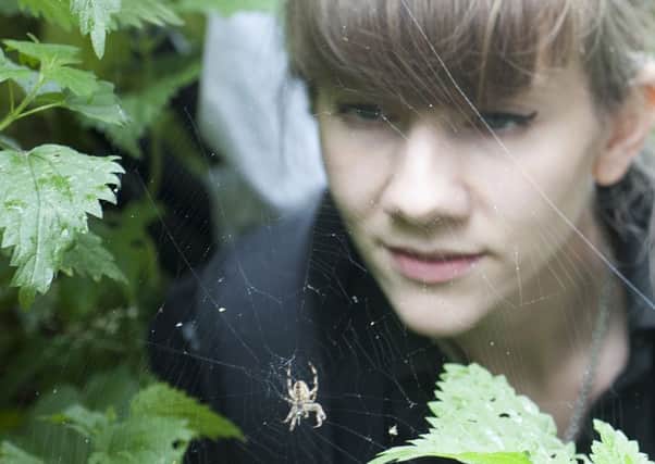 RSPB Bempton will be celebrating spiders over October half term.