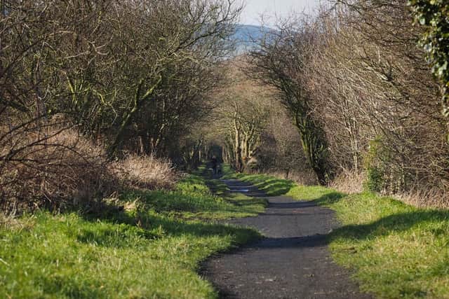 The Cinder Track