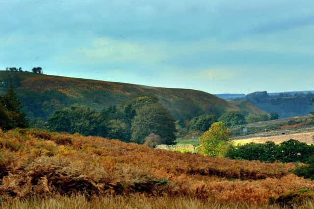 North York Moors. Picture by Gary Longbottom