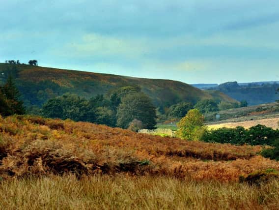 North York Moors. Picture by Gary Longbottom