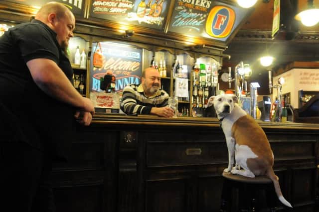 The search for Yorkshire's most dog-friendly pub is underway