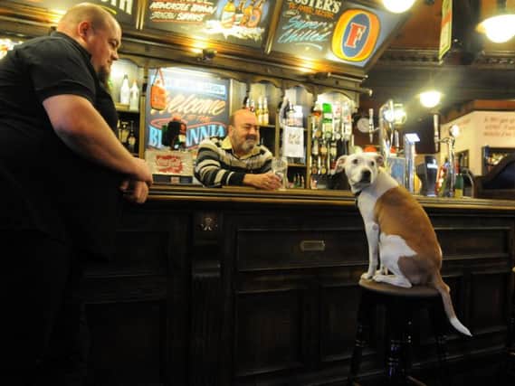 The search for Yorkshire's most dog-friendly pub is underway