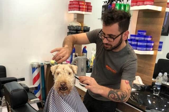 Malton was classed as the perfect place in the UK for dogs.