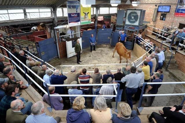The market has been operating in Malton on its present site for some 80 years.