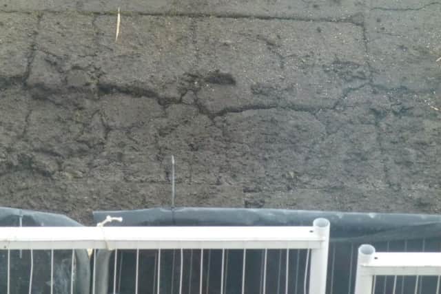 Cracks have formed in the road on Esplanade