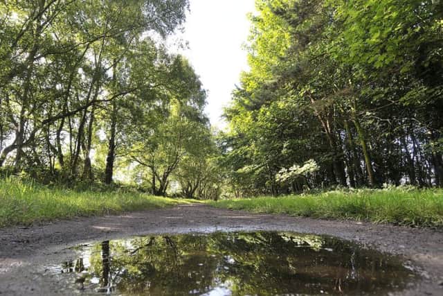 The plans will go before the authoritys overview and scrutiny board on Wednesday