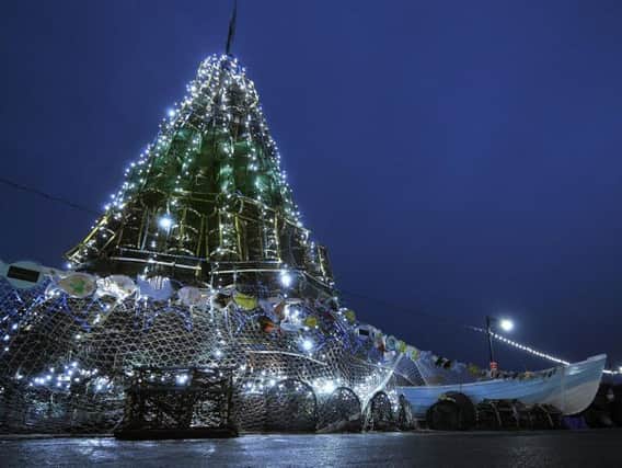 The Fishtive Tree at Coble Landing will be lit at 4.30pm on Saturday