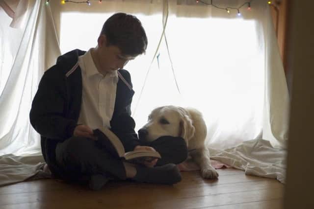 RSPCA Christmas advert.