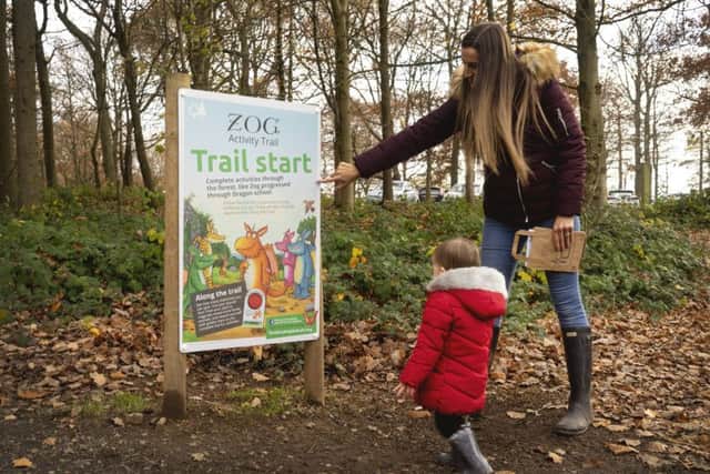 Take part in the Zog trail at Dalby Forest.