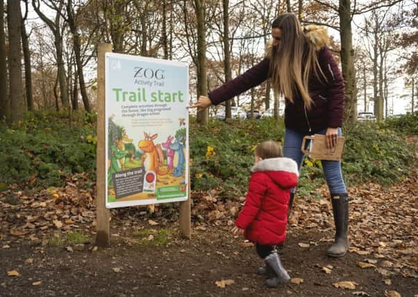 Take part in the Zog trail at Dalby Forest.