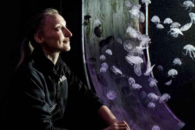 Scarborough's Amy German has become one of the UKs leading experts at breeding jellyfish.Â© Tony Bartholomew
