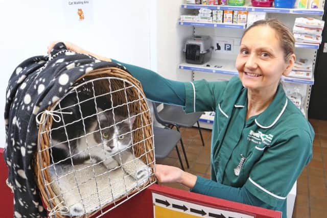 Veterinary nurse (RVN) Stella Ellis has overseen the improvements at The Mount Veterinary Group.