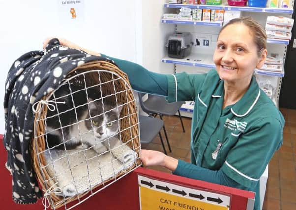 Veterinary nurse (RVN) Stella Ellis has overseen the improvements at The Mount Veterinary Group.