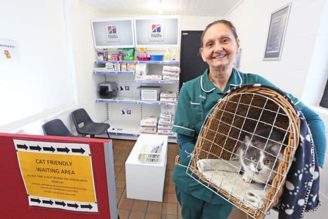 Veterinary nurse (RVN) Stella Ellis has overseen the improvements at The Mount Veterinary Group.