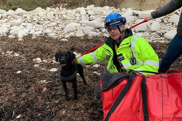 Ollie the black labrador was placed into an animal rescue bag and lowered to the bottom of the cliffs.