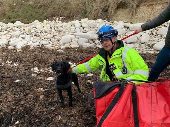 Ollie the black labrador was placed into an animal rescue bag and lowered to the bottom of the cliffs.