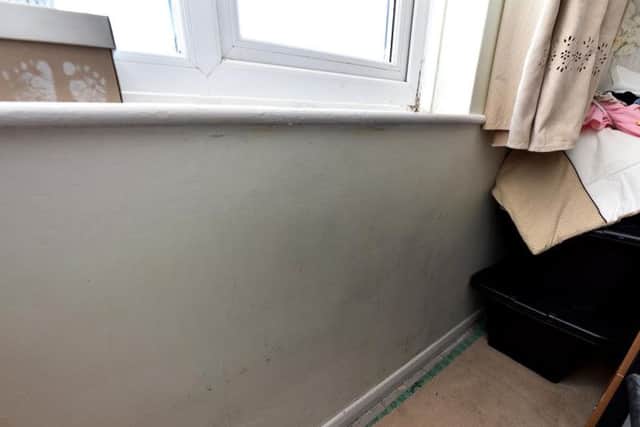 Some of the damp conditions in the bedroom.