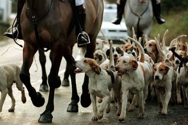 The League Against Cruel Sports has written to North Yorkshire County Council to stop Boxing Day fox hunts.