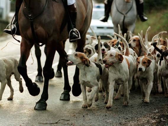 The League Against Cruel Sports has written to North Yorkshire County Council to stop Boxing Day fox hunts.