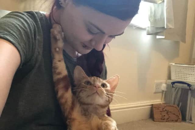 Charlie the tom cat who survived an amputation and paralysis after getting caught in a gin trap.