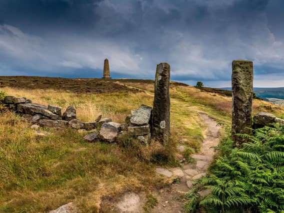 TheNorth York Moorsare nominated forNational Park of the Year