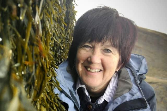Seaweed feature with Jane Pottas
w134816a