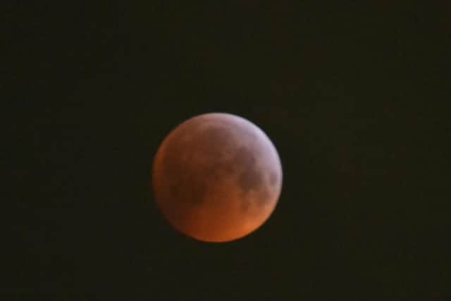 Last night's super blood wolf moon. Picture: Sandra Barber