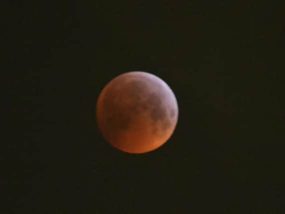 Last night's super blood wolf moon. Picture: Sandra Barber