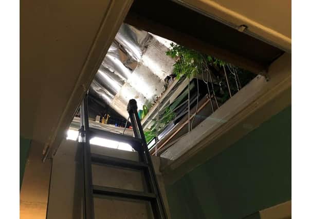 Police discovered this "interesting find" in the loft of a house