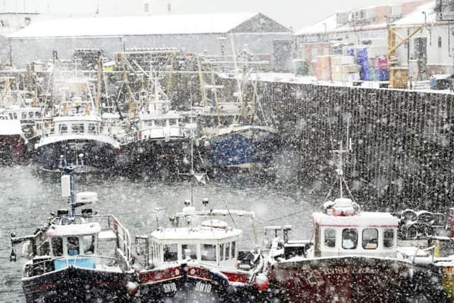 Snow at Scarborough harbour last year.