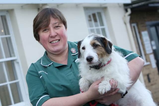 Michelle Coatsworth, who works at Mount Veterinary Group, beat hundreds of fellow nurses to win the national accolade.