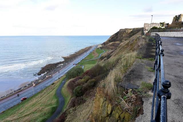 The most recent crack exposure at Rutland Terrace pathway. Picture by Richard Ponter