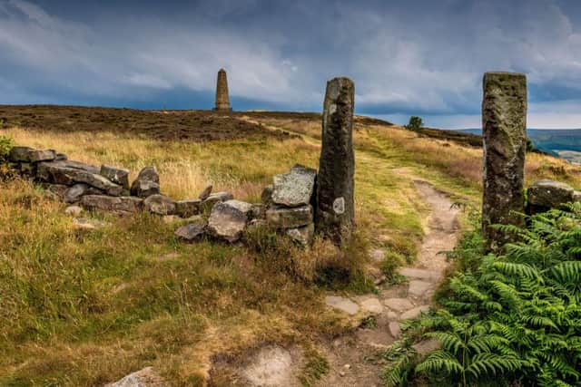Picture James Hardisty. Cook's Monument, above Great Ayton, on Easby Moor, located in the North York Moors national park.