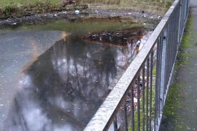 The duck pond in Valley Gardens has been contaminated