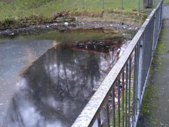 The duck pond in Valley Gardens has been contaminated