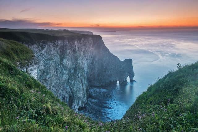 RSPB Bempton Cliffs celebrates its 50th anniversary this year