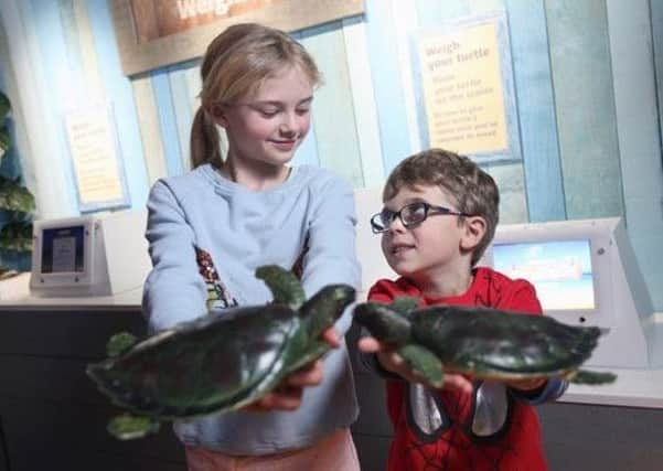 Children can be taught how to rescue, rehabilitate and release turtles into the wild at Scarborough Se Life Sanctuary.