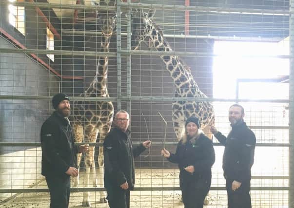 Environment Agency officers with the giraffes at Flamingo Land Zoo.