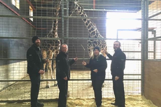 Feeding the giraffes at Flamingo Land are, from left, Environment Agency officers Darryl Wragg, Tim Arnold, Sarah IAnson and Neil Trigger.