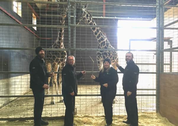 Feeding the giraffes at Flamingo Land are, from left, Environment Agency officers Darryl Wragg, Tim Arnold, Sarah IAnson and Neil Trigger.