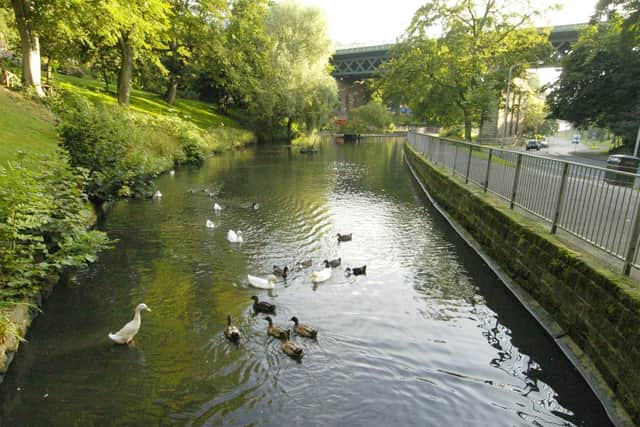 The woman was attacked as she was walking towards the duck pond on Valley Road.