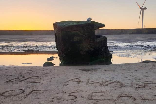 The seal was stranded on top of a World War Two pillbox at Fraisthorpe